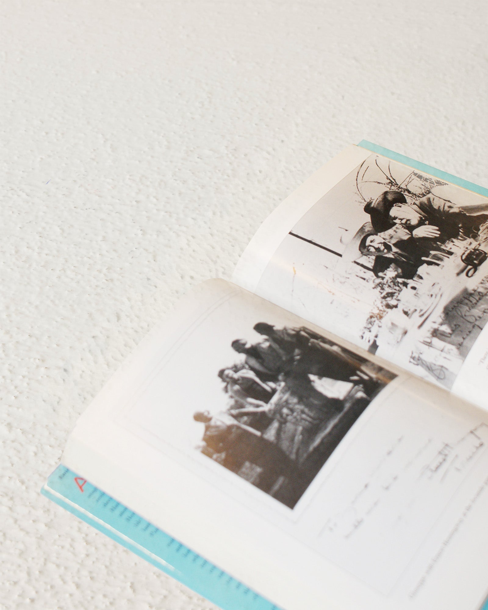 Harry's Bar - The Life and Times of the Legendary Venice Landmark