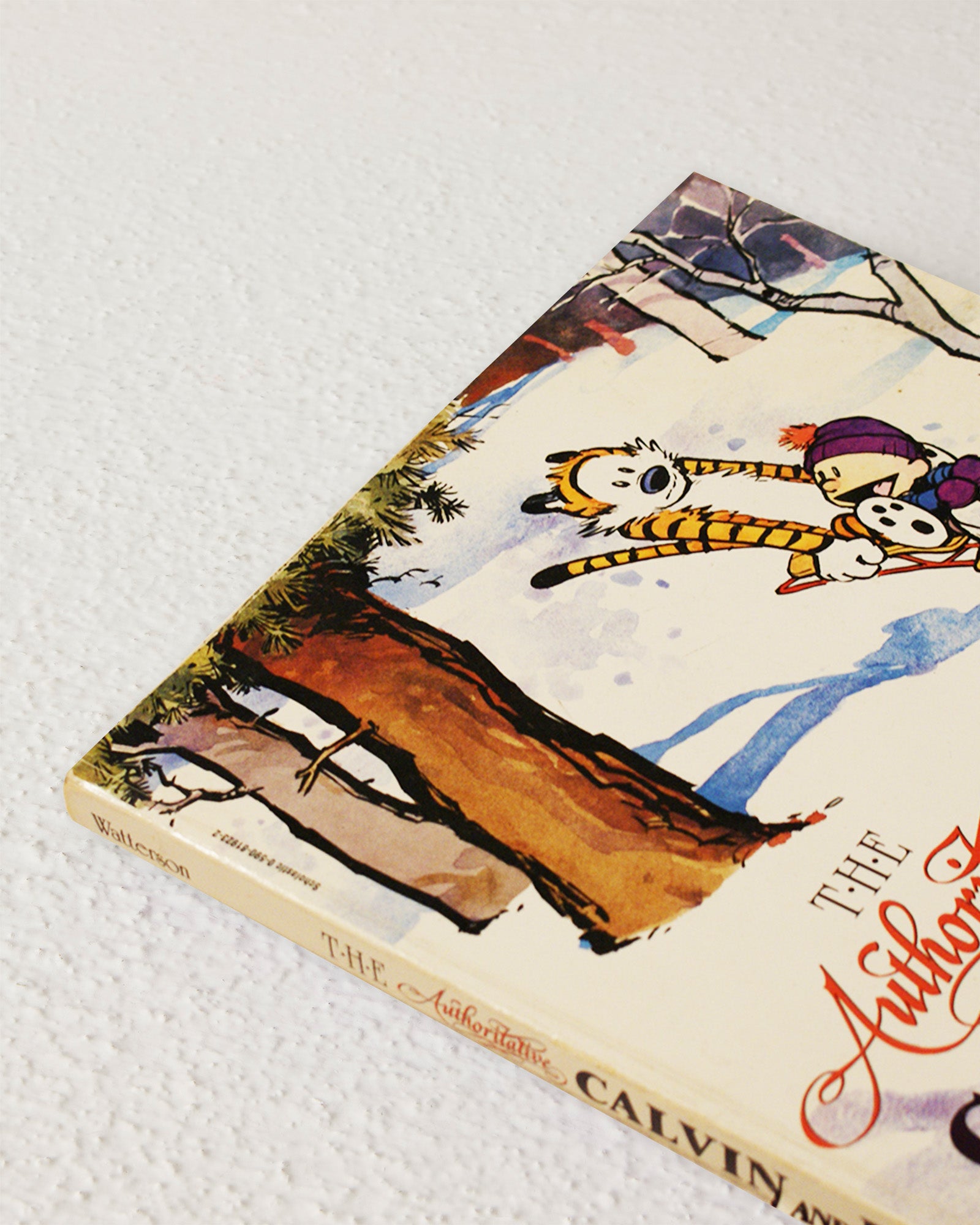 The Authoritative Calvin and Hobbes: A Calvin and Hobbes Treasury