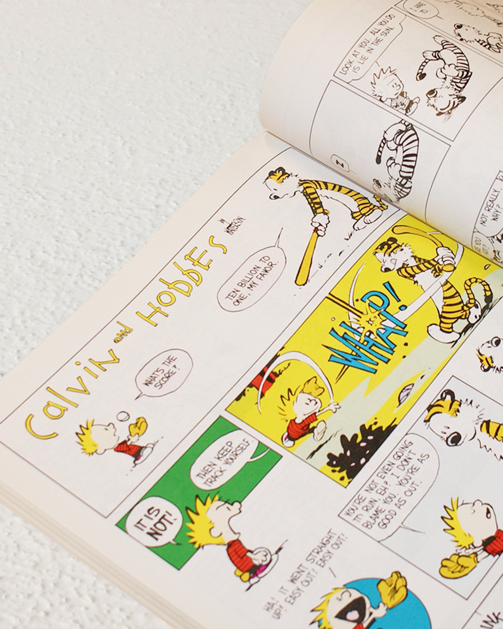 The Authoritative Calvin and Hobbes: A Calvin and Hobbes Treasury