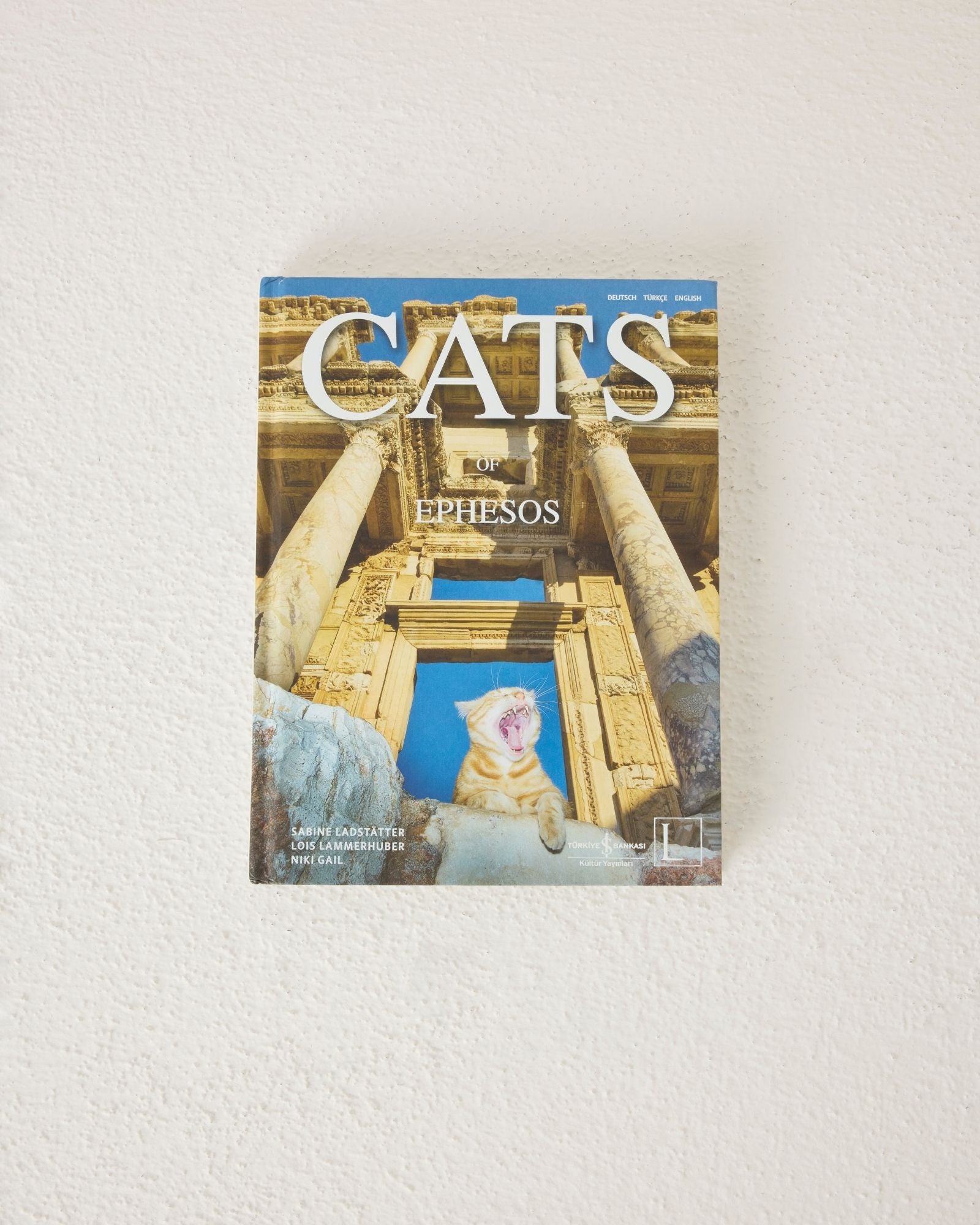 Cats of Ephesus