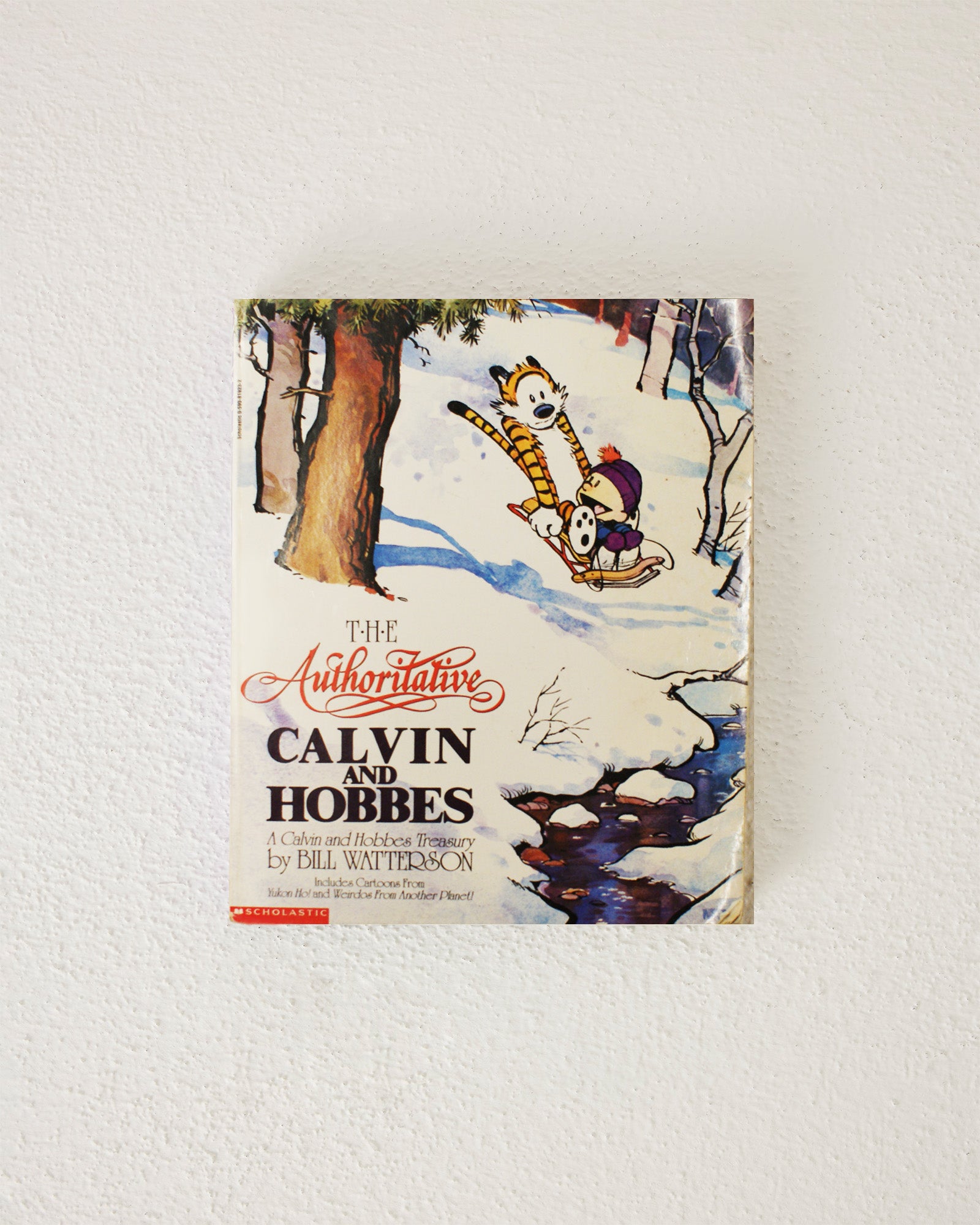 The Authoritative Calvin and Hobbes: A Calvin and Hobbes Treasury